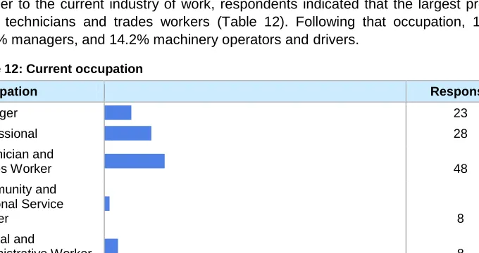 Table 12: Current occupation 