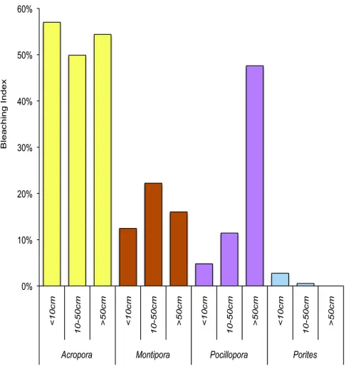 Figure 3.  2007.Size-specific bleaching susceptibility for four key genera (Acropora, Montipora, Pocillopora, and Porites) in  Bleaching susceptibility was calculated using a bleaching index (BI) that weights the proportion of colonies that bleached bythe 