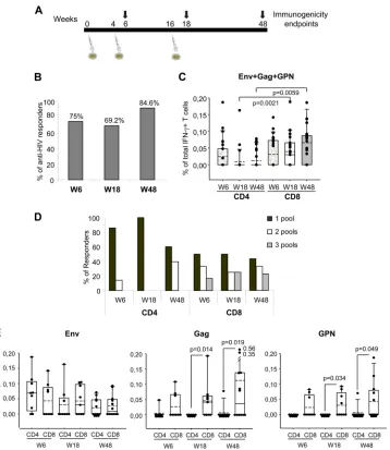 FIG. 1. MVA-B-induced HIV-1-speciﬁc T cell responses across the study. (A) Chronological diagram showing the vaccination schedulefollowed in the RISVAC02 study and the immunogenicity endpoints
