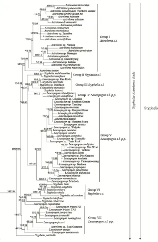 Figure 2.1  Maximum clade credibility tree from Bayesian analysis of the combined chloroplast 