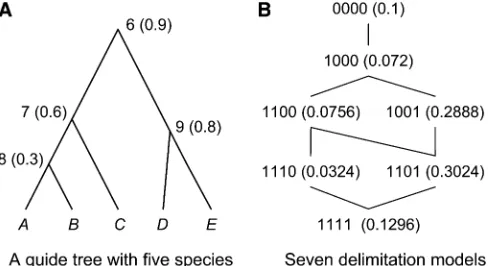 Figure 1 (A) An example guide tree forbeing present). (B) The binary representation for each species delimitationthat can be obtained by collapsing or expanding nodes 6, 7, 8, 9 in theities speci ﬁve species with prior probabil-ﬁed for individual nodes (conditional on their mother nodesguide tree and the prior probability (in parentheses) of that delimitation.