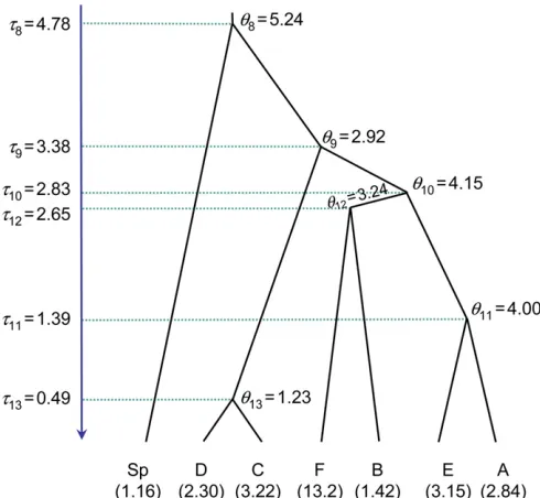 Figure 5 The guide tree for seven populations of cavefrom Niemillerﬁsh (Typhlichthys), et al