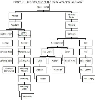 Figure 1: Linguistic tree of the main Gambian languages