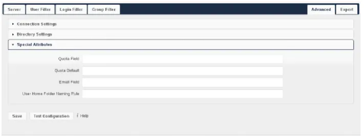 Figure 6.5: LDAP Advanced Settings, section Special Attributes