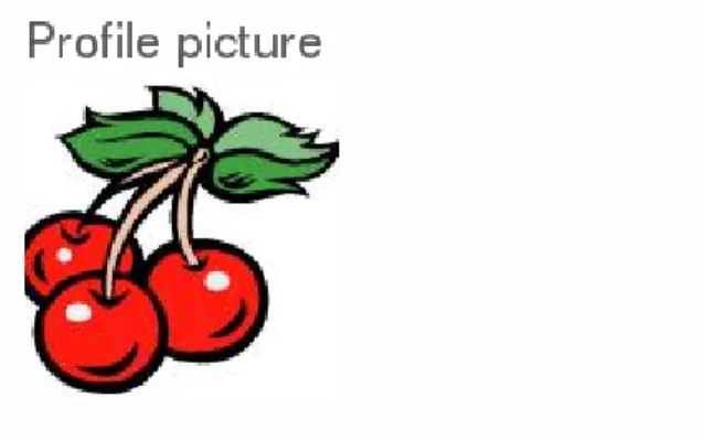 Figure 6.8: Profile picture fetched from LDAP