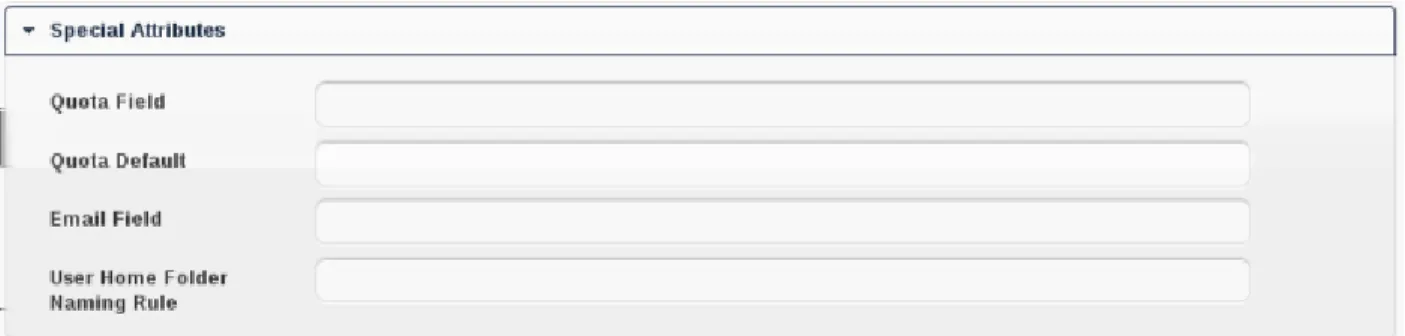 Figure 3.5: LDAP Advanced Settings, section Special Attributes