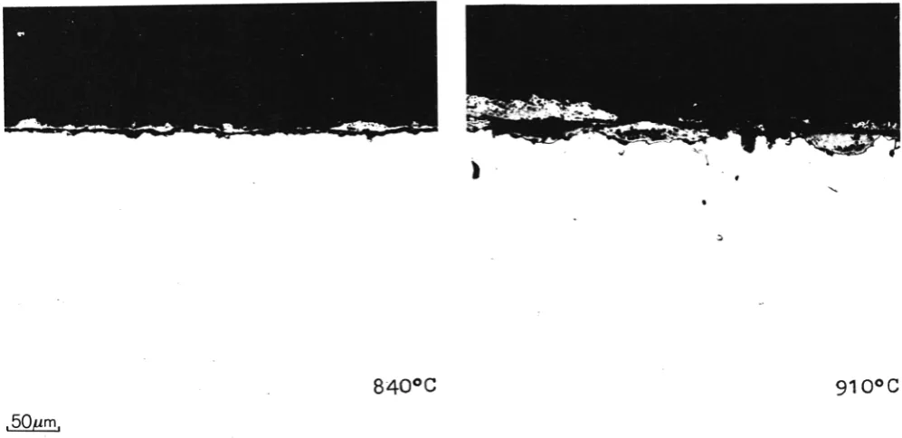 Fig. 7. Optical micrographs of cross sections of samples of Nieral C corroded for 3500 hours in H, S04 decomposition products 