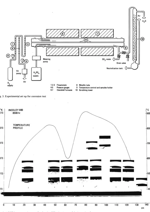Fig. 4. A 8500 hours corrosion test of an Incoloy 800 tube. Aspect of the internal surface 