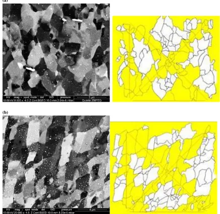 Figure 11: SEM examination of the microstructure of billets during (a) ϕ=90° and (b) ϕ=120° I-ECAP 