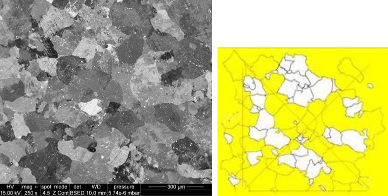 Figure 4: initial microstructure of the AA-1050 material 