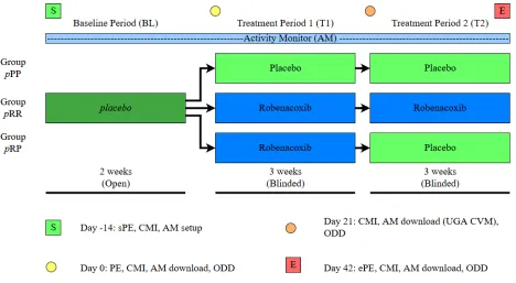 Figure 2.01: Study design and timeline.  