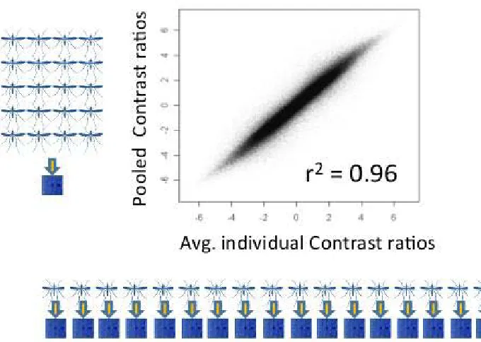 Figure S1   Scatterplot showing correlation of the distribution of values of pooled Contrast ratios for a pool of DNA from 20 mosquitoes, compared with the average values across the 20 DNA samples from the individual mosquitos, with each point correspondin