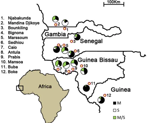 Figure 1 Map of sampling locations for surveys of Anopheles gambiaes.s. molecular forms between 2007 and 2009 in The Gambia, Senegal,Guinea-Bissau, and Republic of Guinea