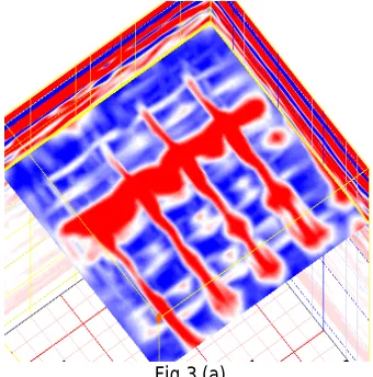 Fig.3 (a) 
