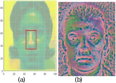 FIGURE 1. (a) A facial image and (b) its LBP texture feature map. Owing to the LBP features are robust to  illumination changes, it is widely used in face recognition and target detection