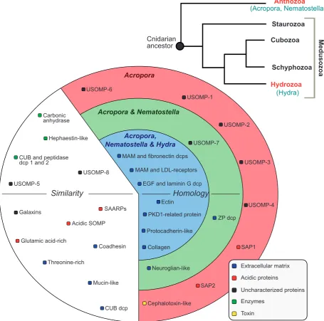 FIG. 5. Resume of the results of similarity searches with BLAST and homology detection (by global alignment, domain architecture comparison and the