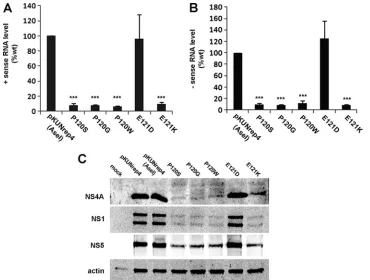 FIG. 5. Conservative mutations at E121 partially restore WNVmotif in pKUNrep4(AseI) were generated using site-directed mutagenesis