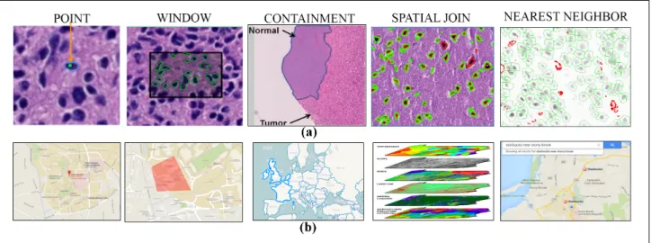 Figure 1: Examples spatial query cases. (a) pathology imaging; (b) GIS applications.