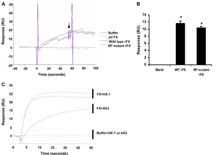 FIG. 3. Critical role of the heparin binding proexosite in the FX SP domain in Ad5 cell binding and gene transfer in vitroAd5 (green) at 10,000 vp/cell was allowed to bind SKOV3 cells for 1 h at 4°C in the absence of FX or the presence of WT rFX or SP muta