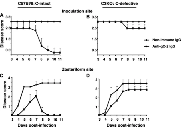 FIG. 2. Passive transfer of anti-gC-2 IgG protects complement-intact mice from inoculation site and zosteriform disease