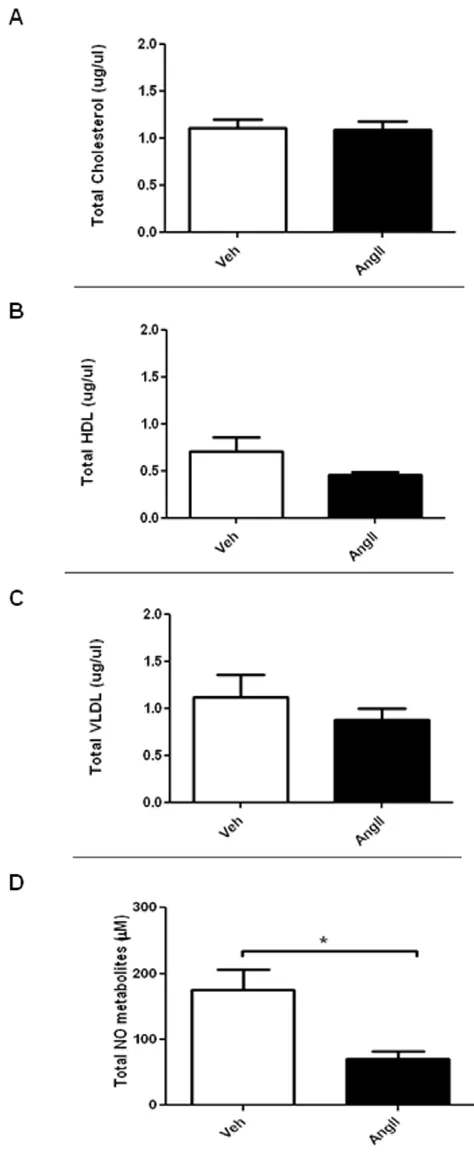 Figure 4. Effects of AngII infusion on plasma nitrite/nitrate,total cholesterol, high density lipoprotein (HDL) and very lowmeandensity lipoprotein (VLDL)