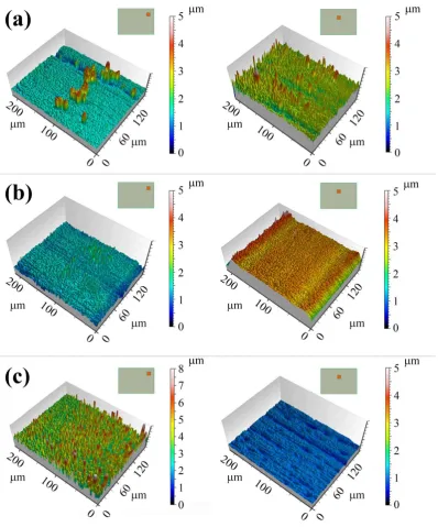 Figure 9: 3D roughness profiles of linear copper patterns at: (a) 20 mA cm-2 and (b) 30 mA cm-2  