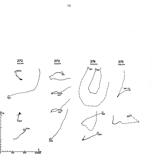 Fig. 10 Progressive Vector diagrams for positions 272, 273, 274 and 275 (see Fig. 1). Tickmarks are every day 0000 GtfT