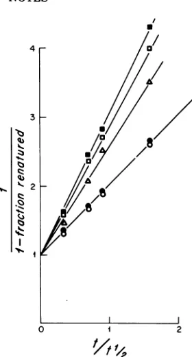 FIG. 4.DNAfromoffr"omml;DNACloneexposedpostirradiation.DNAlegendn2ds/min;HarvestingDNAandsupernatantirradiatedextractionml)wereDNA Reassociation kinetics of 32P-labeled SV40 incubated in the presence of unlabeled DNA Hirt fractions ofSy-irradiated and cont