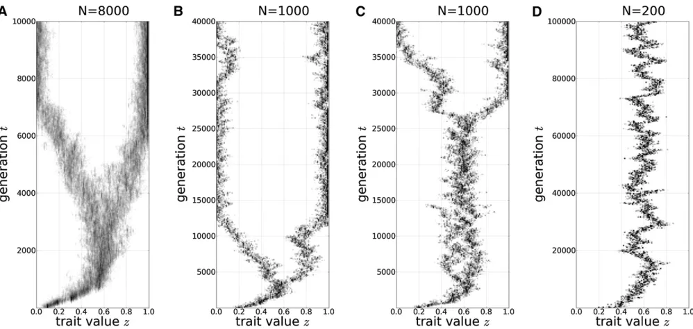 Figure 1 Evolutionary dynamics. (A) A simulation run withN N = 8000. (B and C) Two different simulation runs with N = 1000