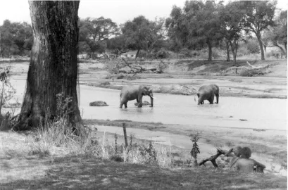 Figure 6: Marcel and Paul on the banks of the Great Ruaha River, 1975