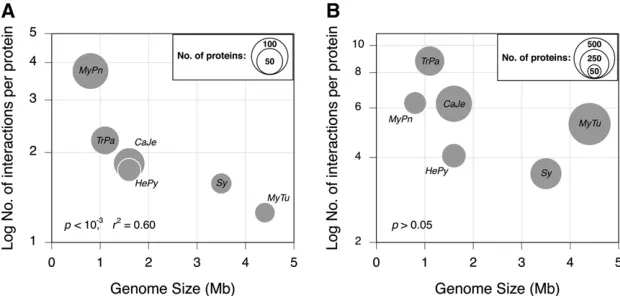 Table 1 Features of the bacterial species analyzed