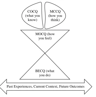 Figure 2.1. CQ Factors and Influences Mapped onto Basic Conceptual Model  