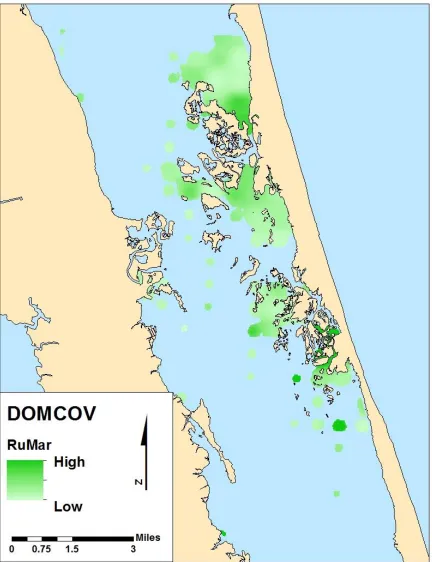 Figure 3.7.  DOMCOV output displaying estimated coverage distribution of R. maritima throughout the study area