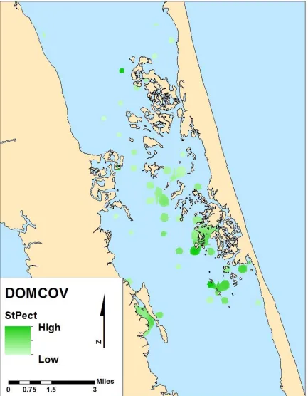 Figure 3.8.  DOMCOV output displaying estimated coverage distribution of S. pectinata throughout the study area