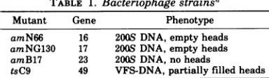 TABLE 1. Bacteriophage strainsa