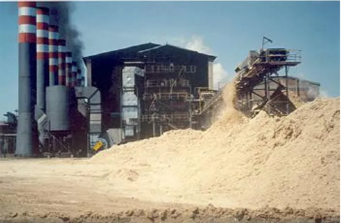 Figure 2.  The Usina Santa Elisa sugar mill in Sertaozinho, Brazil. Bagasse, a by-product of sugar production, can be  burned for energy or made into ethanol