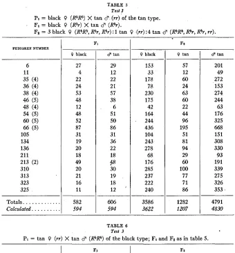 TABLE 5 Test 3 