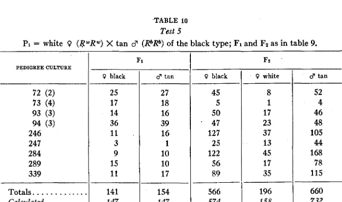 TABLE 9 Test 5 