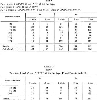 TABLE 11 Test 6 