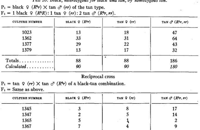 TABLE 16 Black, heterozygous for black and tan, 
