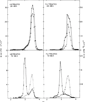 FIG.1.culturescultureseachdescribedCMV-infectedincorporated Incorporation of[PH]TdR into DNA ofFU-treated and untreated cells