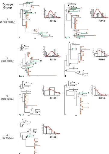FIG. 3. Relationship between the virus dose administered and the number of variants transmitted
