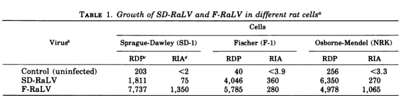 TABLE 2. Titration ofSD-RaLV and F-RaLV onFischer rat cells