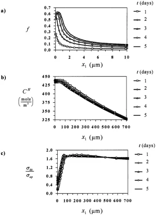 Fig. 3 Approach of steady.state conditions after 5 days under constant remote tensile stress; C Hr 2500 moleim 3