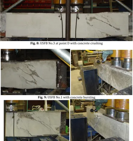 Fig. 8: USFB No.3 at point D with concrete crushing  
