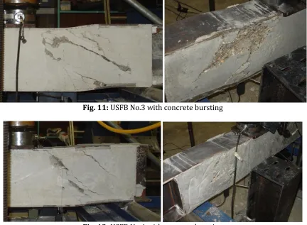 Fig. 12:  USFB No.4 with concrete bursting 
