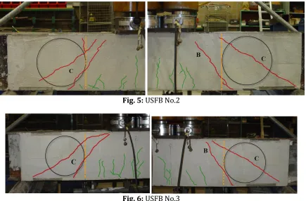 Fig. 5:  USFB No.2  