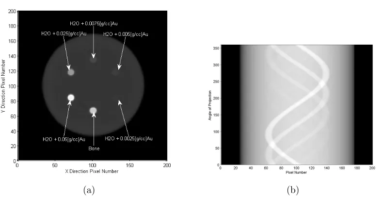 Figure 4.9: Demonstrating a cylinder placed in the center of the scan-able area and itsrespective counterpart in the form of a sinogram that also includes bone and variousconcentrations of gold within smaller cylinders.