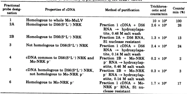 TABLE 3. Summary ofpurification ofMo-MuLV cDNA