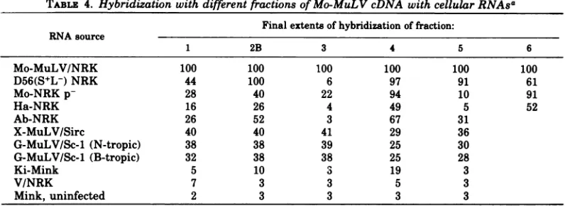 TABLE 4. Hybridization with different fractions of Mo-MuLV cDNA with cellular RNAsa